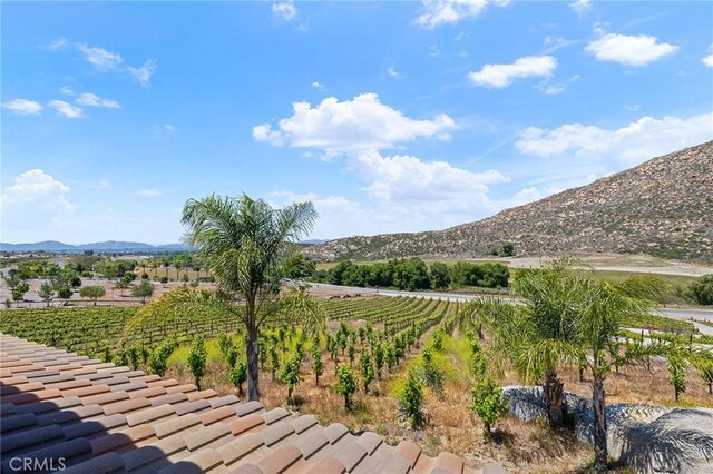 mountain view featuring a rural view
