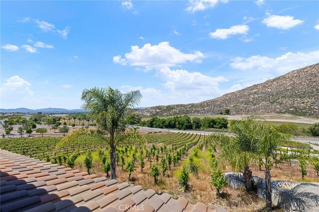 36615 E Benton Rd, Temecula, CA 92592 - photo 57