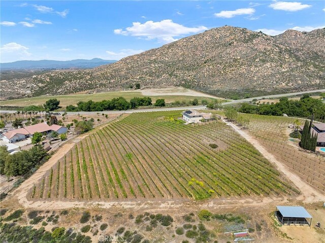 bird's eye view featuring a rural view and a mountain view