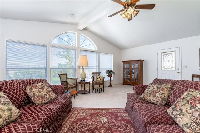 carpeted living area featuring a ceiling fan and lofted ceiling with beams