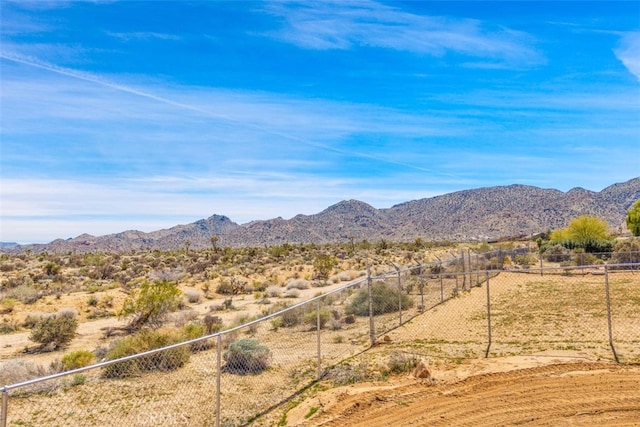 7835 Elwood St, Joshua Tree, CA 92252 - photo 46