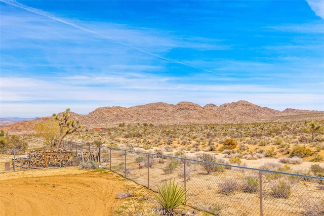 7835 Elwood St, Joshua Tree, CA 92252 - photo 44
