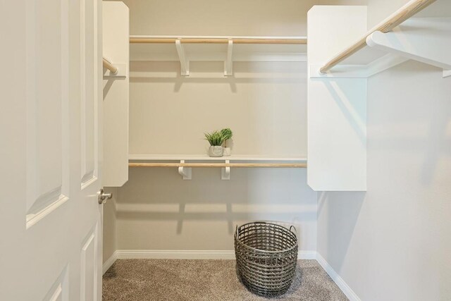 walk in closet with carpet