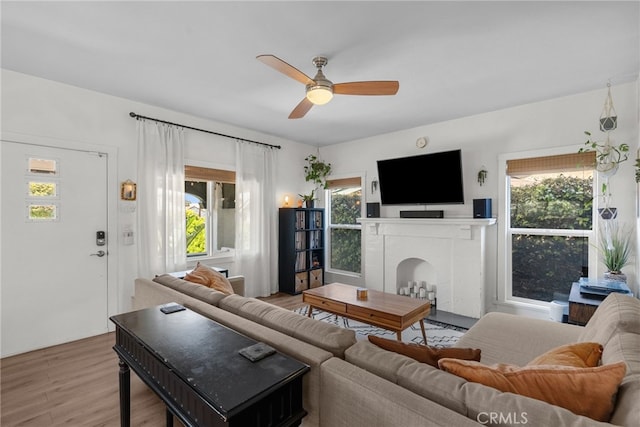 living area with a healthy amount of sunlight, a fireplace, wood finished floors, and ceiling fan