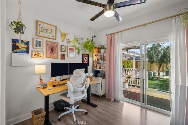 office area with a ceiling fan and wood finished floors
