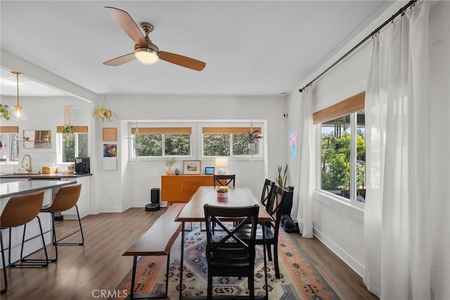 dining area featuring wood finished floors, baseboards, and a ceiling fan