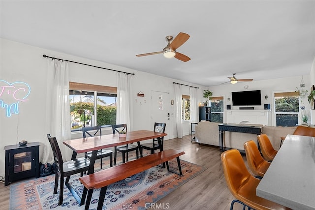 dining space with light wood-style floors, a healthy amount of sunlight, ceiling fan, and a fireplace