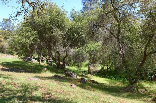 44410 Quail Ct, Coarsegold, CA 93614 - view of yard featuring a wooded view