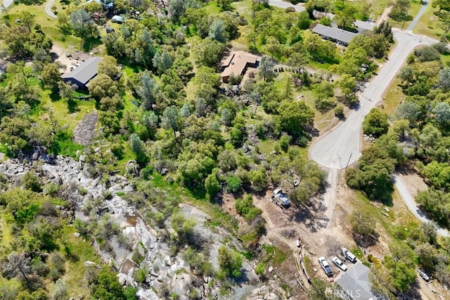 44410 Quail Ct, Coarsegold, CA 93614 - aerial view