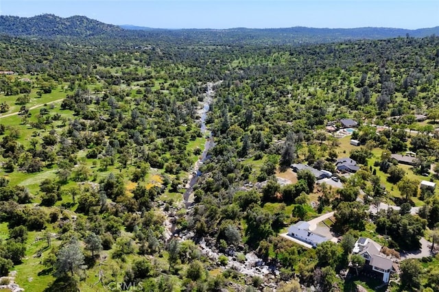 44410 Quail Ct, Coarsegold, CA 93614 - drone / aerial view featuring a view of trees