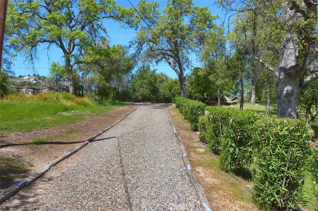 44410 Quail Ct, Coarsegold, CA 93614 - view of street