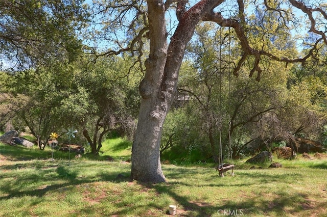 44410 Quail Ct, Coarsegold, CA 93614 - view of yard
