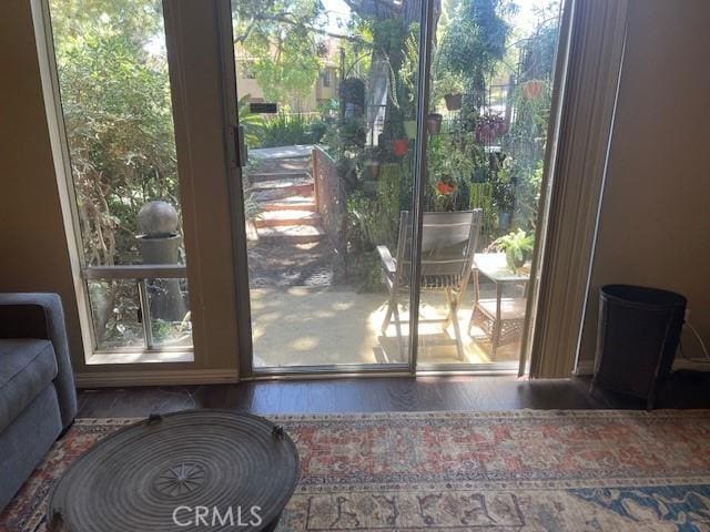 doorway featuring plenty of natural light