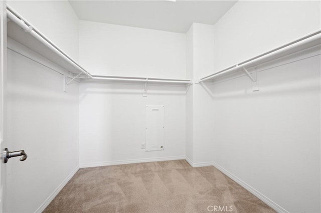 spacious closet featuring carpet flooring