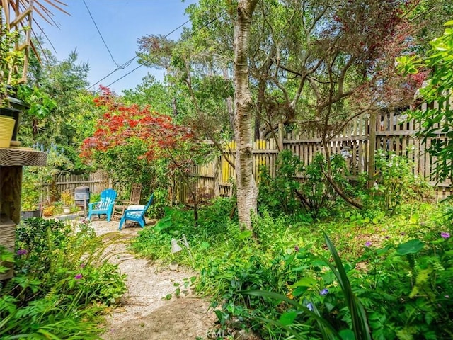view of yard with a fenced backyard and a patio area