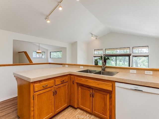 kitchen featuring white dishwasher, rail lighting, plenty of natural light, and a sink