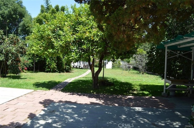 view of yard with a patio