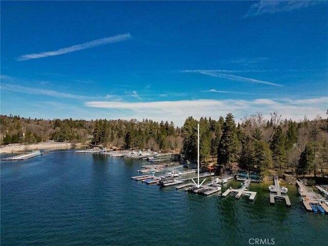 27994 W Shore Rd, Lake Arrowhead, CA 92352 - water view with a boat dock, a heavily wooded area, and numerous boat docks