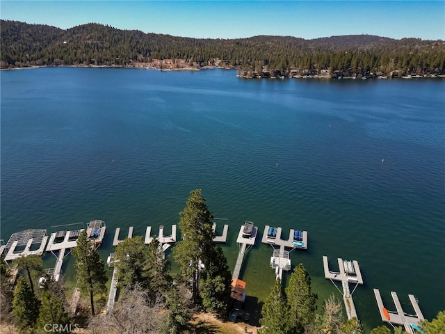 27994 W Shore Rd, Lake Arrowhead, CA 92352 - aerial view of property's location featuring a forest and a nearby body of water