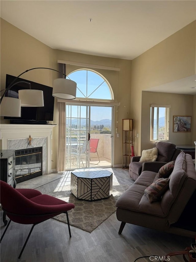 living area featuring a mountain view, wood finished floors, and a premium fireplace