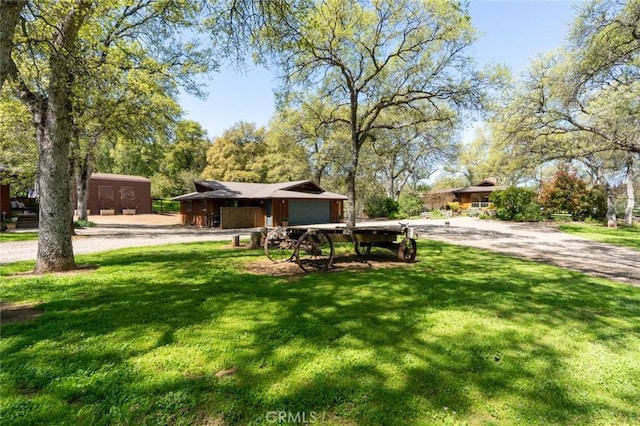 view of yard featuring a garage and driveway