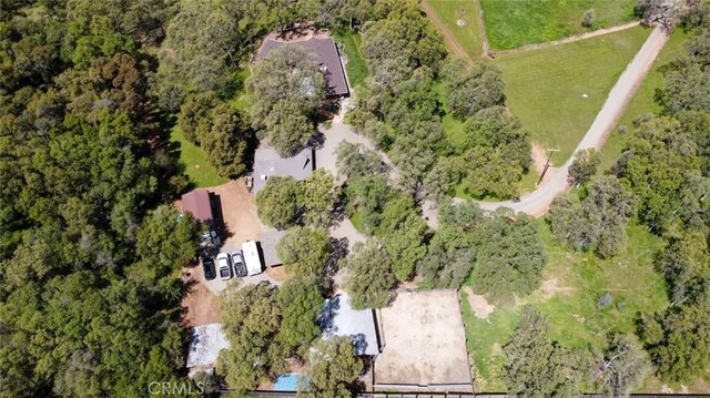 6879 State Highway 49 N, Mariposa, CA 95338 - photo 67