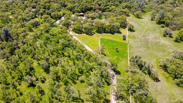 6879 State Highway 49 N, Mariposa, CA 95338 - photo 63