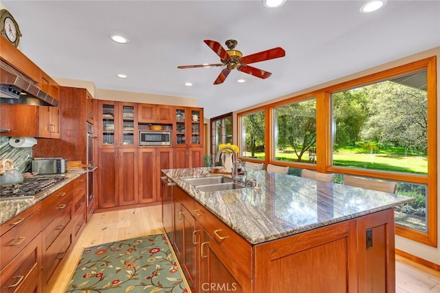 kitchen with recessed lighting, a sink, appliances with stainless steel finishes, and a wealth of natural light