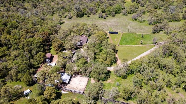 6879 State Highway 49 N, Mariposa, CA 95338 - photo 65