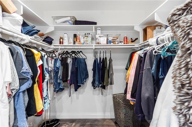 805 W Brentwood Ave, Orange, CA 92865 - view of spacious closet