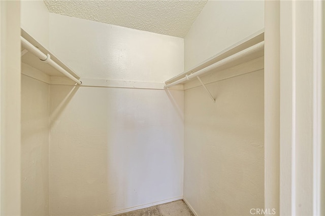 view of walk in closet