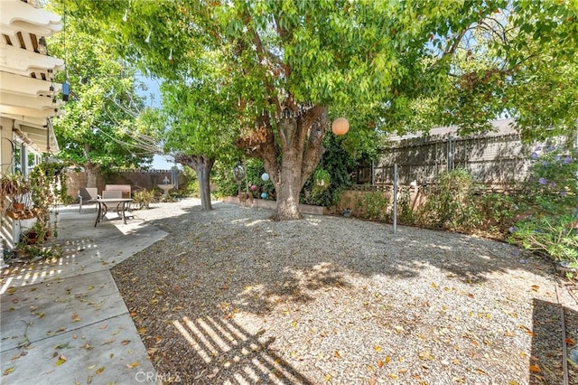 view of yard featuring a patio and a fenced backyard