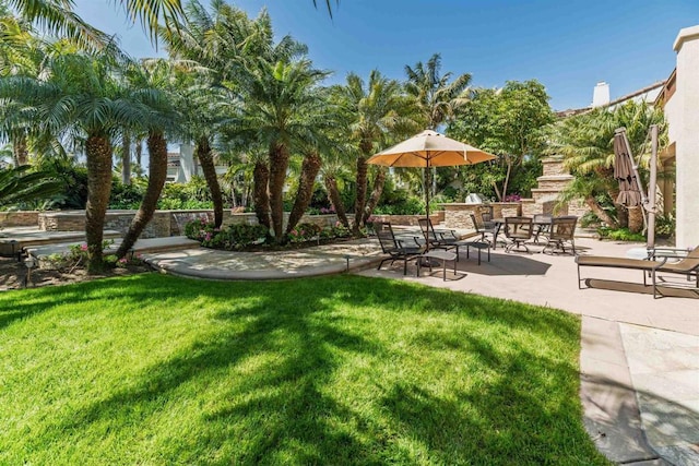 view of yard featuring a patio