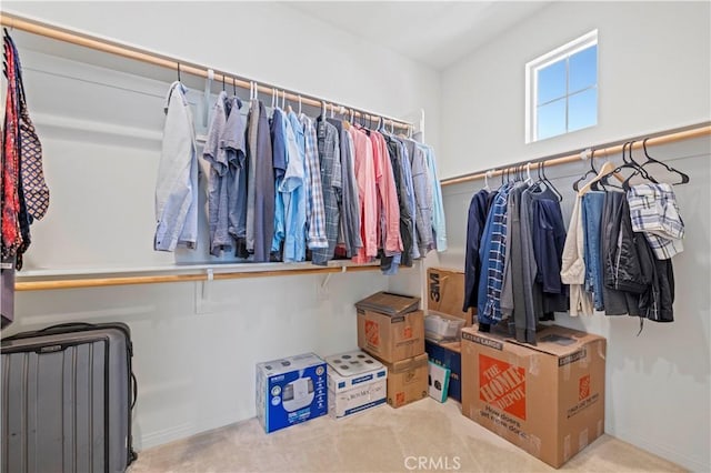 view of spacious closet