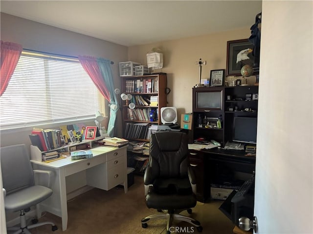 view of carpeted home office