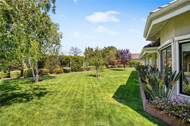22316 Bear Creek Dr S, Murrieta, CA 92562 - view of yard