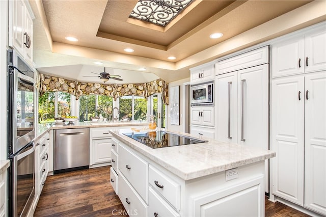 22316 Bear Creek Dr S, Murrieta, CA 92562 - kitchen featuring stainless steel appliances, a center island, a tray ceiling, recessed lighting, and dark wood-type flooring