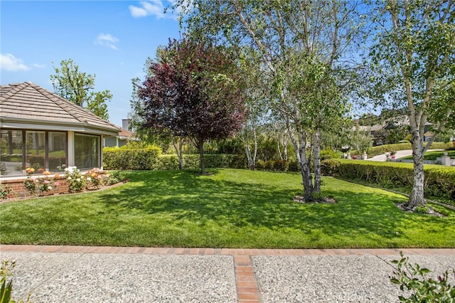 22316 Bear Creek Dr S, Murrieta, CA 92562 - view of yard