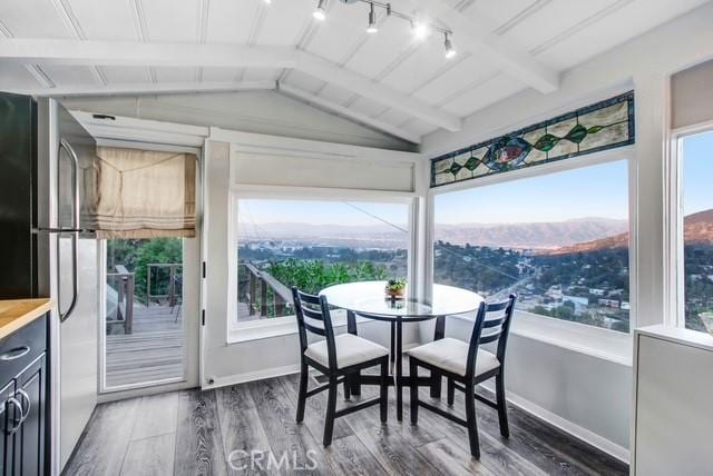 sunroom with rail lighting and beam ceiling
