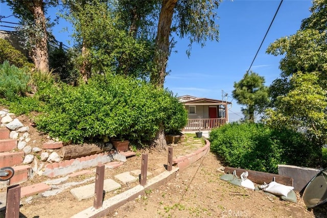 view of yard