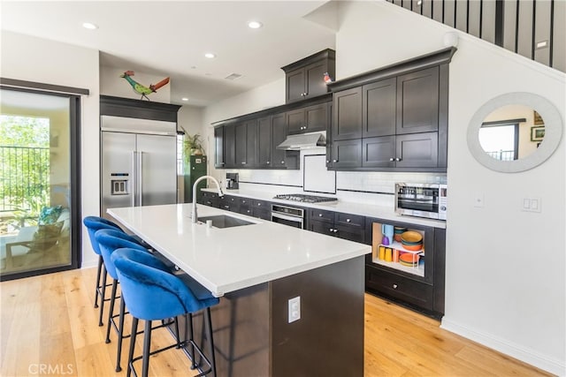 kitchen featuring tasteful backsplash, a sink, light wood-type flooring, stainless steel appliances, and under cabinet range hood