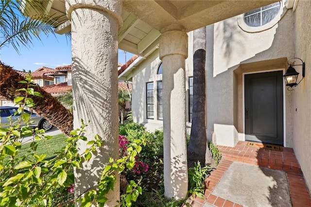 view of exterior entry with stucco siding