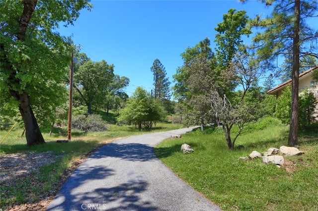 50366 Rd 420, Coarsegold, CA 93614 - view of road