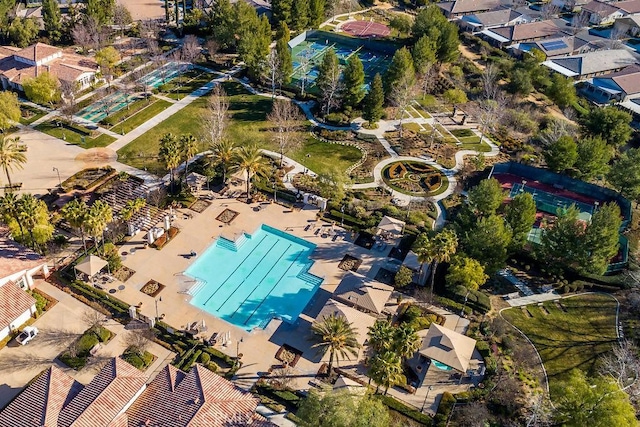 drone / aerial view