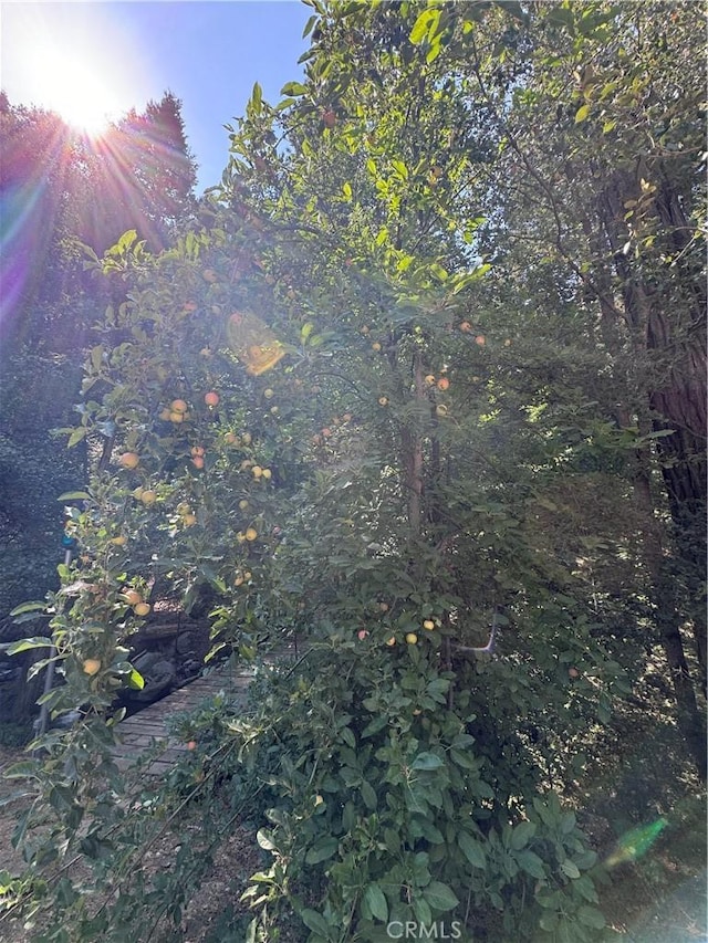 view of nature