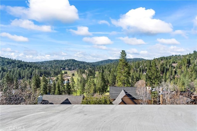 mountain view featuring a forest view
