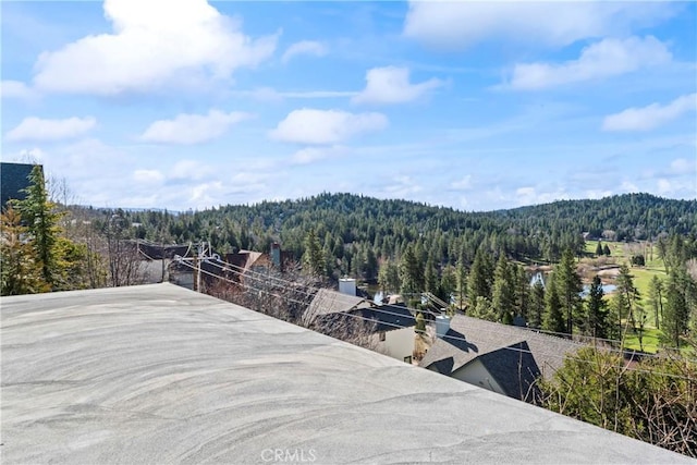 property view of mountains featuring a forest view