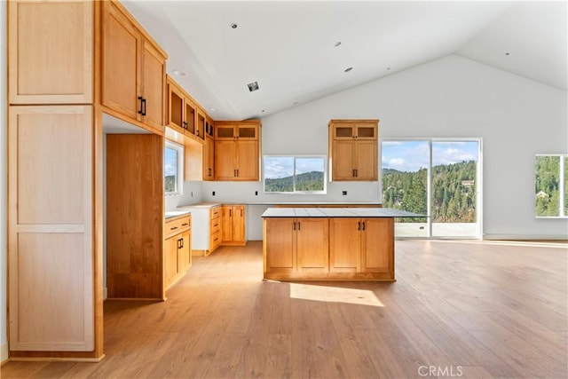 kitchen with a center island, plenty of natural light, glass insert cabinets, and light wood-type flooring