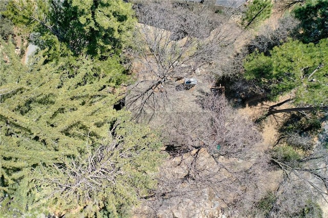 26375 Augusta Dr, Lake Arrowhead, CA 92352 - aerial view