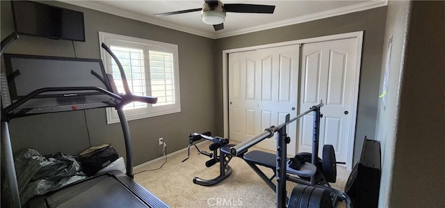workout room with carpet flooring, baseboards, ornamental molding, and ceiling fan